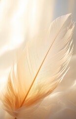 Closeup of a beige feather over a sheet