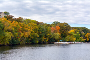 Fototapeta na wymiar Colorful autumn trees along the bank of the Charles River in Watertown, Greater Boston, Massachusetts, USA