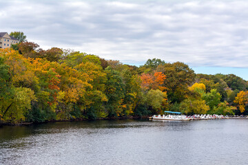 Colorful autumn trees along the bank of the Charles River in Watertown, Greater Boston,...