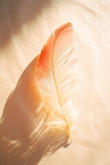 Closeup of a pink feather over a sheet