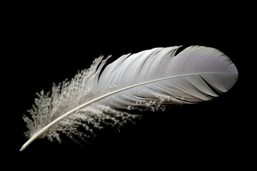Feather with white spots. Generative AI