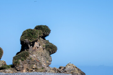 a special rock on chiloe island