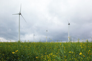 Green meadow with yellow flowers and Wind turbines generating electricity