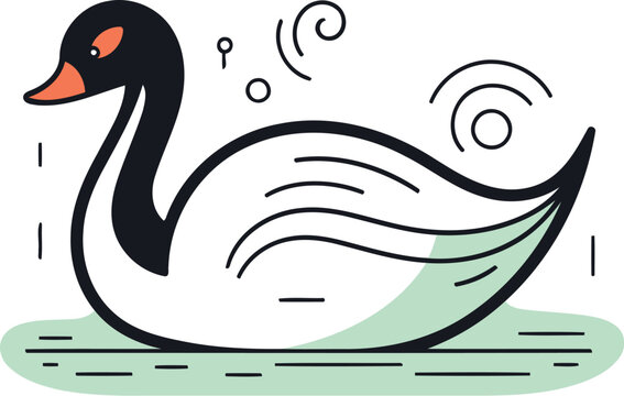 recommend clip art: Vector illustration of a swan swimming in the water. Isolated on white background.