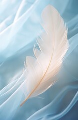 Closeup of a white feather over a light blue sheet