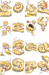 Ballpython snake albino