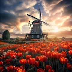 Fotobehang Beautiful iconic view of Tulip fields in Netherlands with windmill at sunset © IRStone