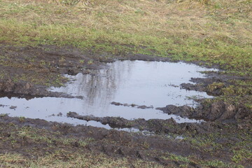 A puddle of water on a rural road after a rain in in autumn, a rut in the black soil.
