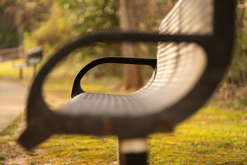bench in the park