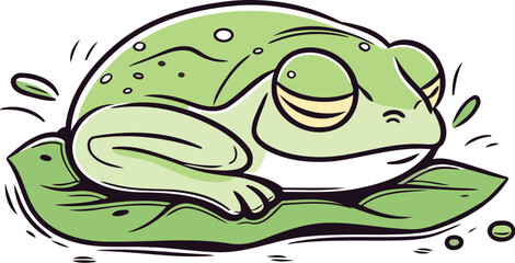 Frog on a leaf. Vector illustration isolated on white background.