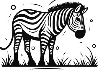 Obraz premium Zebra on white background. Vector illustration in black and white colors.
