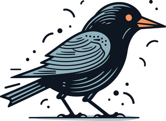 Crow. Vector illustration of a bird on a white background.