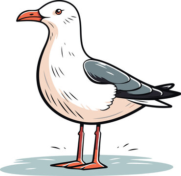 recommend clip art: Seagull. Vector illustration of a bird on a white background.