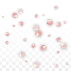 Pink Vector Realistic Petals Falling on Transparent Background.  Spring Romantic Flowers Illustration. Flying Petals. Sakura Spa Design. Blossom Confetti. Design Elements for Wedding Decoration.