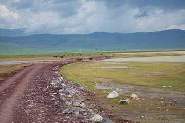 Landscapes of Ngorongoro crater, Ngorongoro national park