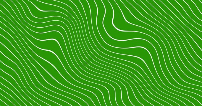 Abstract thin white color wavy line over green color background. wavy lines flowing grey white background seamless loop. flat animated motion graphic background.