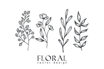 Collection of hand drawn spring flowers and plants. Monochrome vector illustrations in sketch style.	

