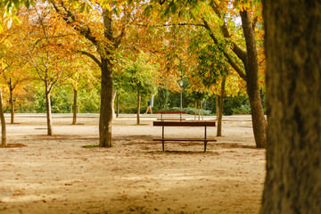 Parque de El Retiro de Madrid en Otoño. Paisaje otoñal 
