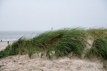 Düne am Nordseestrand