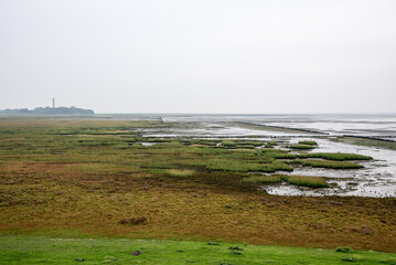 Wattenmeer Norderney