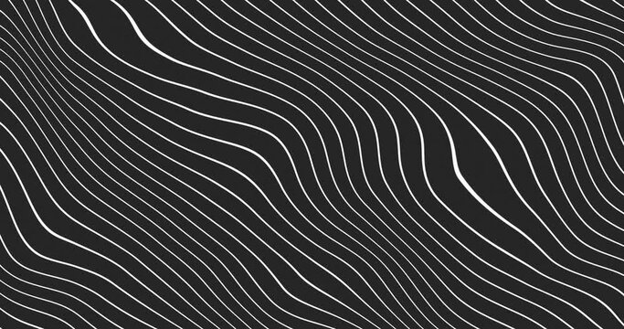Abstract thin white color wavy line over black color background. wavy lines flowing grey white background seamless loop. flat animated motion graphic background.