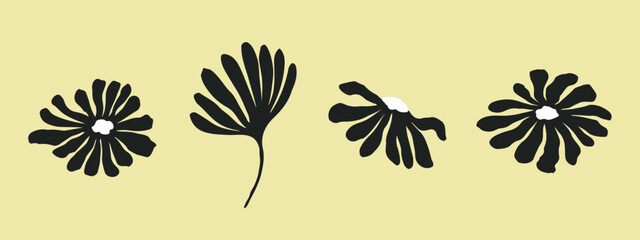 Set of botanical elements for pattern. black white modern drawings of various flowers, branches. Hand drawn ink sketches. Vector illustration isolated on white background.