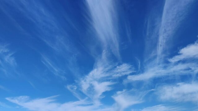 Cirrus clouds moving in the nice early sky