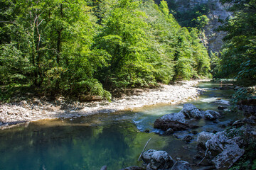 Pastoral landscape - the beautiful Khosta River in a yew-boxwood grove in Sochi among hilly shores and green trees on a sunny summer day