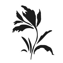 Flower botanical elements for pattern. black white modern drawings. Hand drawn ink sketches. Vector illustration isolated on white background.