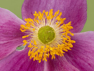 Macro Musings