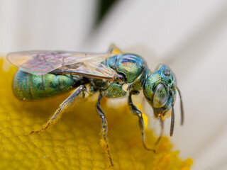 Macro Musings