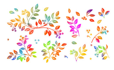 Set of colored twigs with leaves and berries. hand drawing. Not AI, Vector illustration