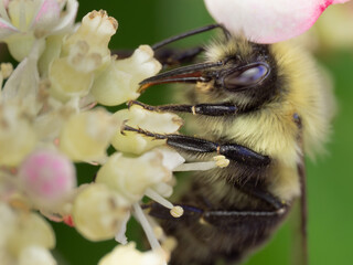Macro Musings