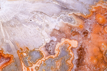 agate, quartz geode in petrified wood macro detail texture. close-up polished semi-precious...