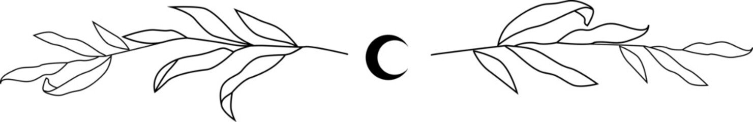 Botanical line art border page divider.
