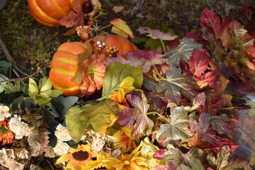 Autumn Decoration