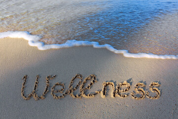 Fototapeta premium Word Wellness handwritten on the caribbean sand.