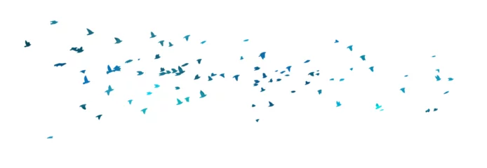 Fotobehang A flock of blue watercolor flying birds. Free birds abstraction. hand drawing. Not AI, Illustrat3. Vector illustration © Мария Неноглядова