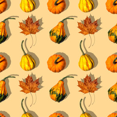 seamless pattern different pumpkins on a orange background