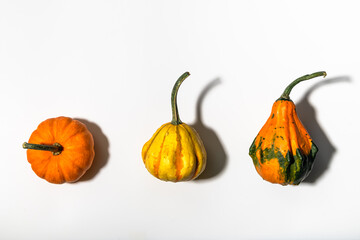 Three different pumpkins on a white background