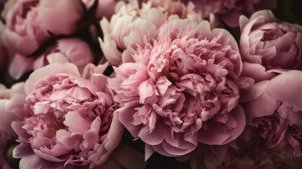 Fototapeta premium Beautiful pink peonies as background, closeup view. Decor concept. Wallpaper concept. Art concept. 3d concept. Flower concept. Florist concept.