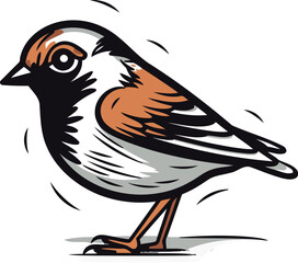 Sparrow vector illustration. Isolated on a white background.