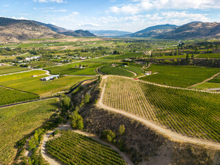 Okanagan Valley Winery Vineyard British Columbia