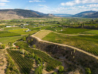 Okanagan Valley Winery Vineyard British Columbia