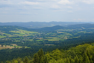 Fototapeta na wymiar The green landscape of the Polish Bieszczady Mountains