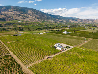 Okanagan Valley Winery Vineyard British Columbia