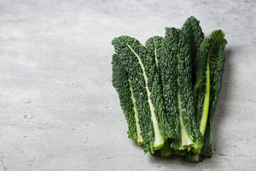Fresh leaves of tuscan black cabbage or cavolo nero or lacinato kale on a gray textured background - 673472799