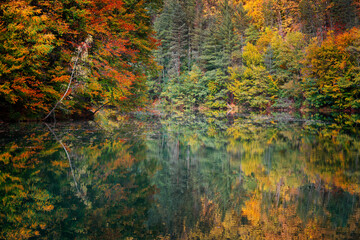 Autumn landscape by the Vida lake in Apuseni Mountains, Romania. Trees in colorful foliage and...
