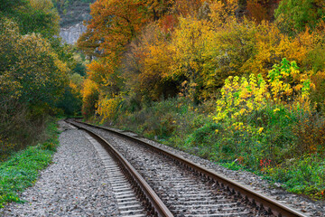 Obraz premium Autumn landscape on Vadu Crisului railway, Occidental Carpathians, Romania, Europe 