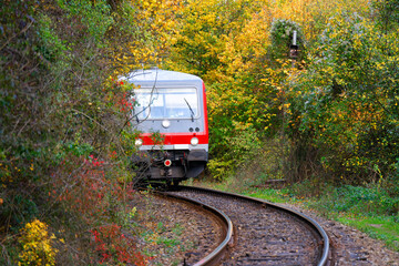 Naklejka premium Vadu Crisului railway in autumn colours, Occidental Carpathians, Romania, Europe 